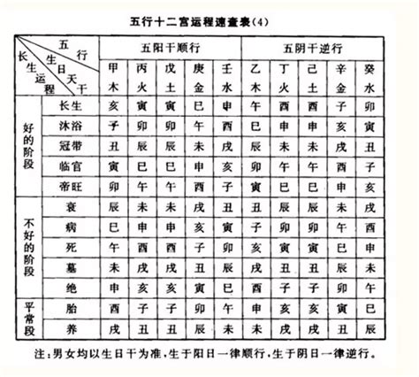 長生子|八字算命基礎——十二長生